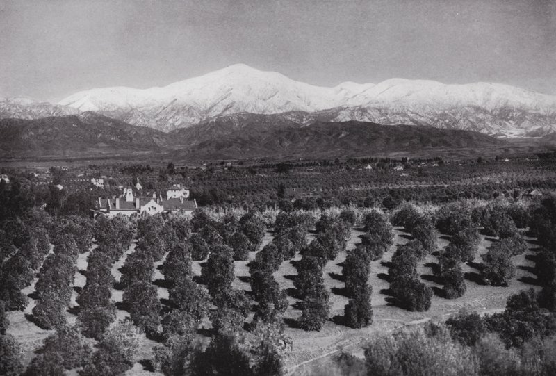 Californië: Redlands, vanaf Smiley Heights, zonneschijn, sinaasappelboomgaarden en besneeuwde toppen door American Photographer (after)