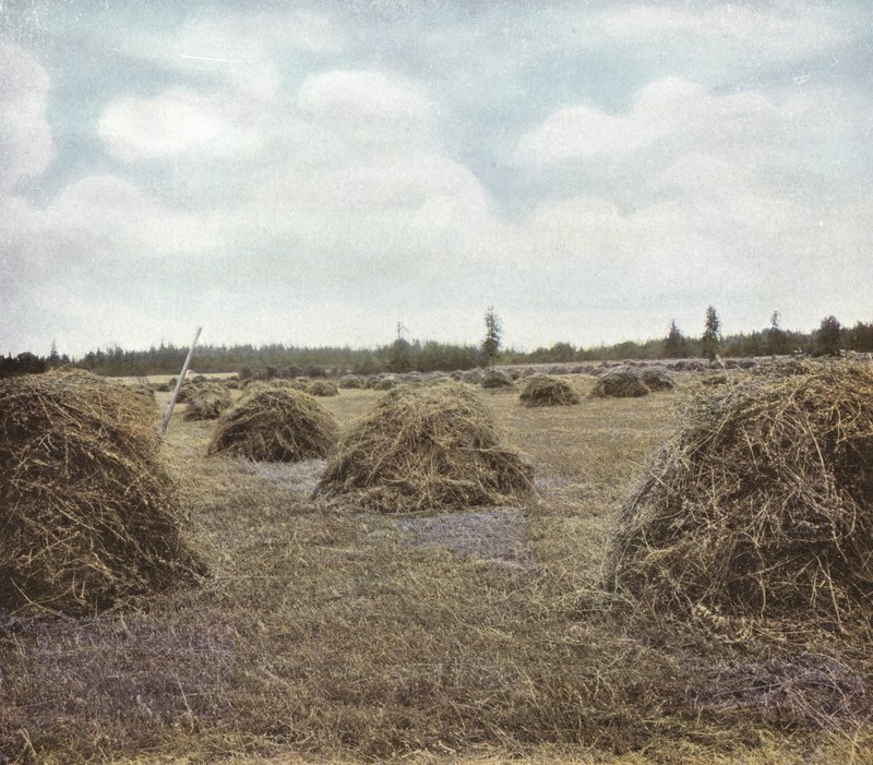 Oregon: Alfalfa door American Photographer (after)