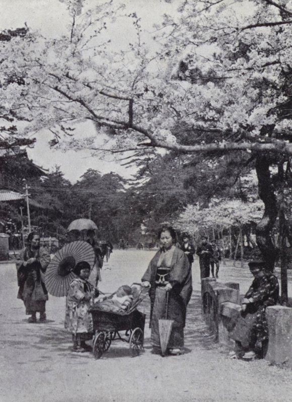 Onder de kersenbloesem in Shiba Park, Tokio door American Photographer (after)