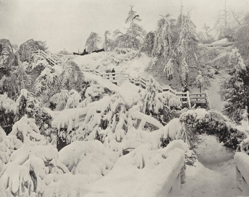 Winterloof op Luna Island (zwart-wit foto) door American Photographer (after)