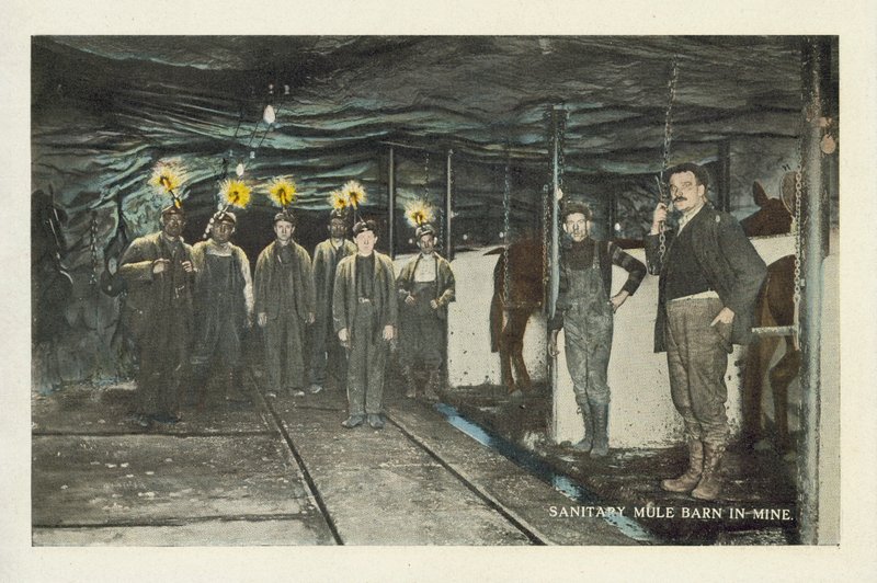 Amerikaanse kolenmijnbouw: Sanitaire muilezelstal in mijn (kleurenfoto) door American Photographer