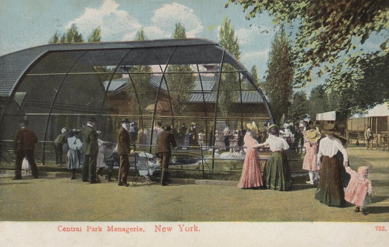 Central Park Menagerie, New York (foto) door American Photographer