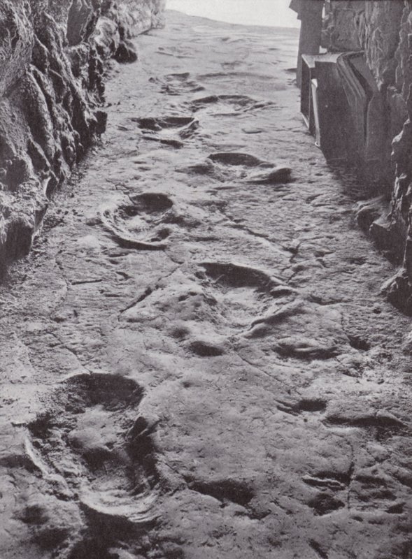 Gefossiliseerde mammoetvoetafdrukken, Carson City, Nevada, VS (z/w foto) door American Photographer