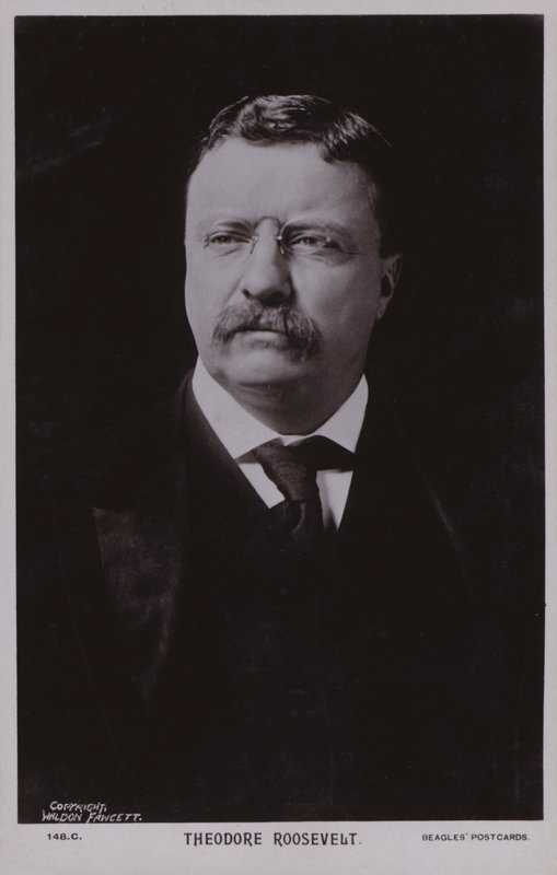Theodore Roosevelt, Amerikaans politicus en 26e president van de Verenigde Staten (z/w foto) door American Photographer