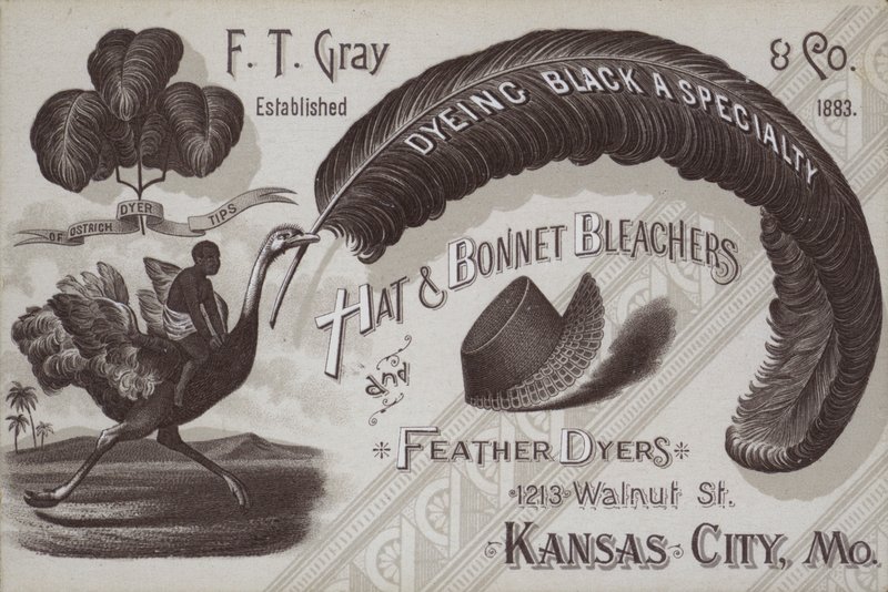 Advertentie voor F T Gray, hoed- en kapblekers en veer ververijen, Kansas City, Missouri, USA door American School