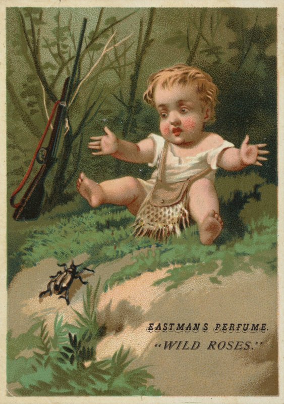 Baby in het bos door American School