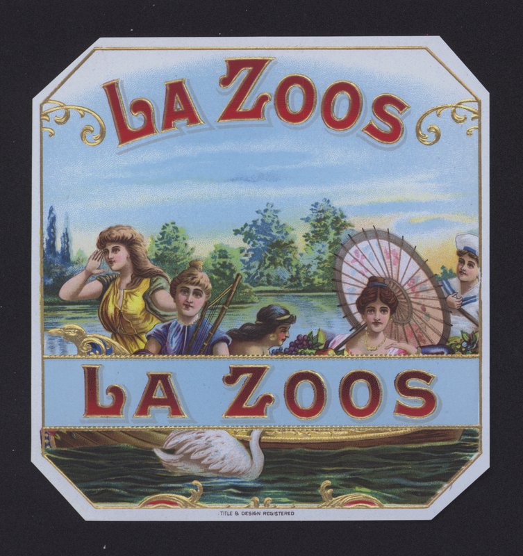 La Zoos door American School