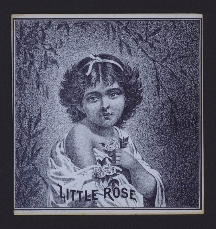 Little Rose, sigarenlabel door American School