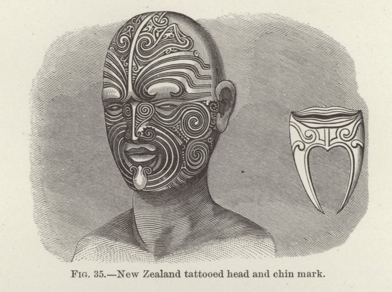 Nieuw-Zeelandse getatoeëerd hoofd en kinmarkering door American School