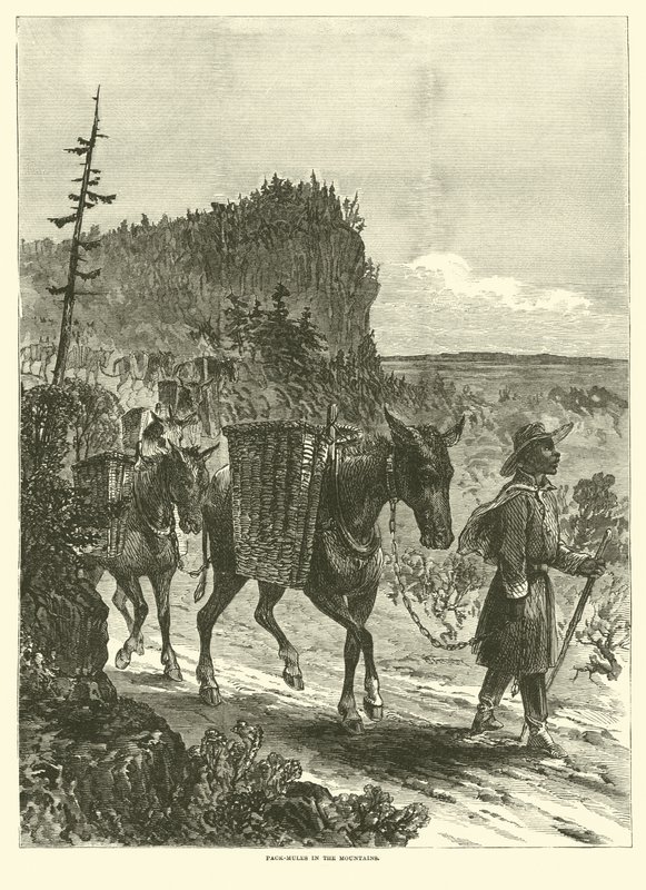 Pakmuilezels in de bergen, februari 1863 door American School