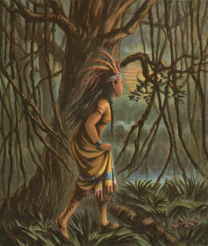Pocahontas door American School
