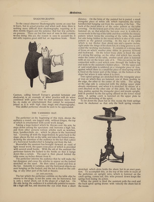 Schaduwkunst, De Kat, De Verdwenen Hoed door American School