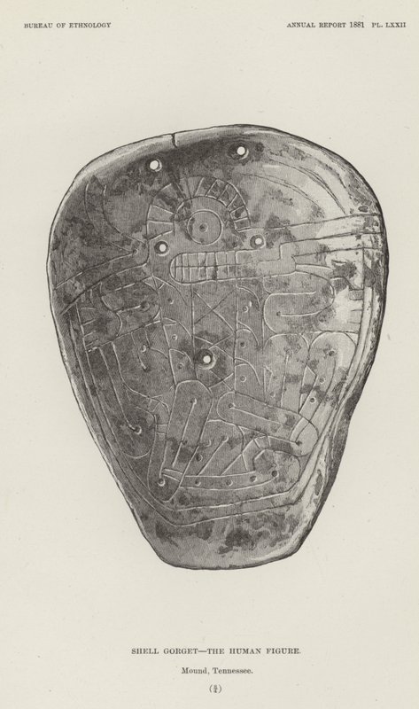Schelp Gorget - De Menselijke Figuur door American School