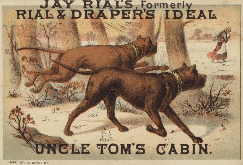 Twee honden in het bos door American School