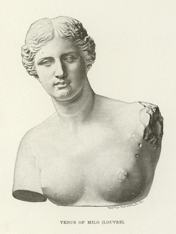 Venus van Milo, Louvre door American School