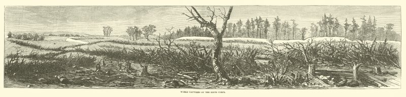 Werken veroverd door het Zesde Korps, april 1865 door American School