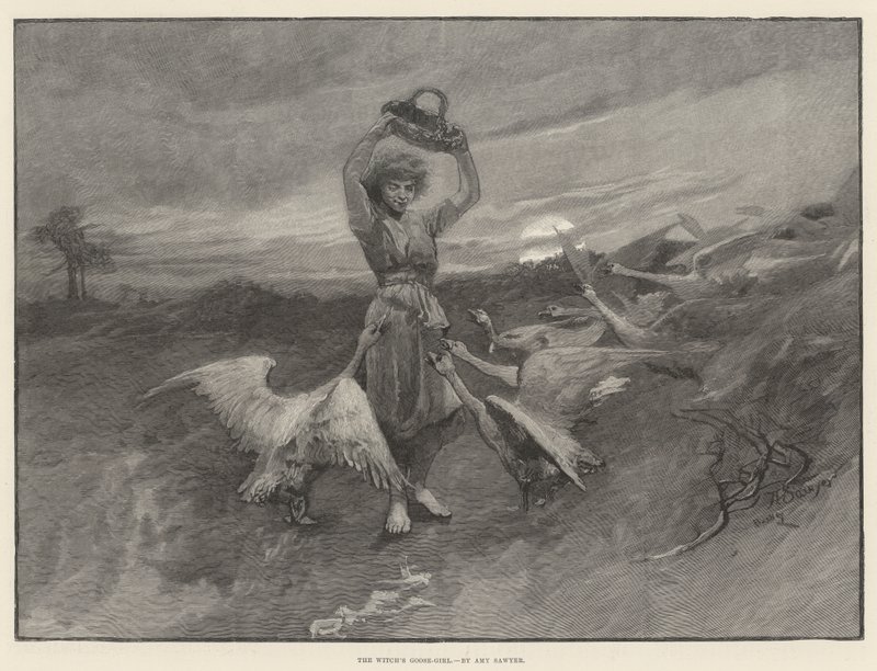 Het ganzenmeisje van de heks door Amy Sawyer