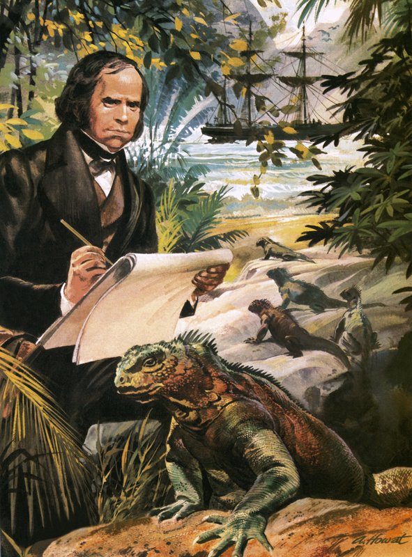 Charles Darwin op de Galapagoseilanden door Andrew Howat