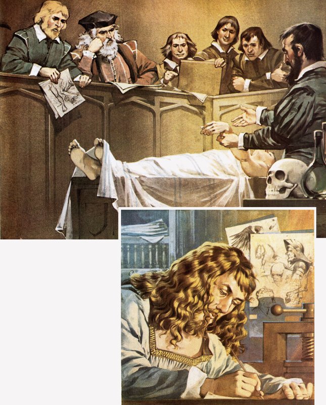 Demonstratie van dissectie (boven) en tekening van Durer (onder) door Angus McBride