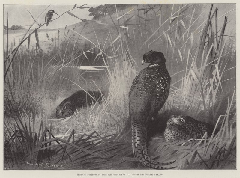 Sportonderwerpen, op de buitenpost door Archibald Thorburn