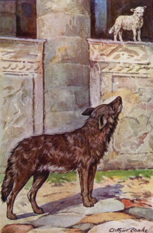 Aesopus