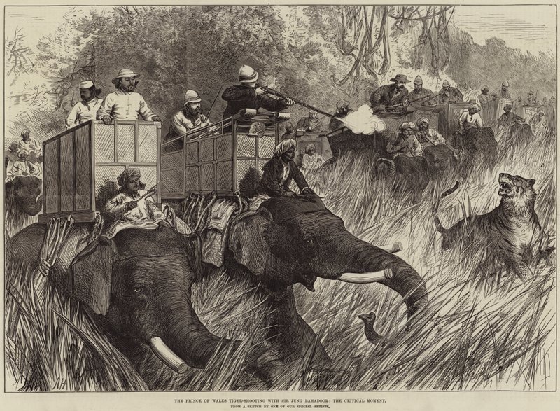 De Prins van Wales op tijgerjacht met Sir Jung Bahadoor, het kritieke moment door Arthur Hopkins