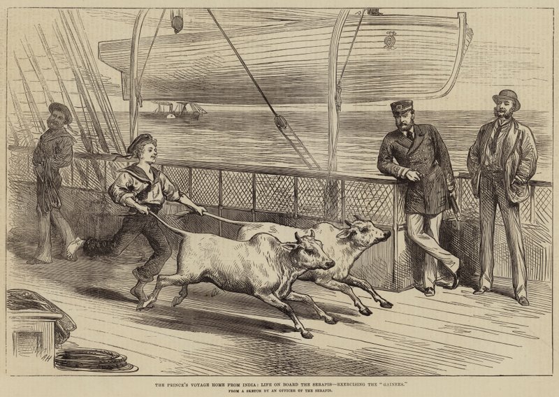 De reis van de prins naar huis vanuit India, leven aan boord van de Serapis, het oefenen van de Gainees door Arthur Hopkins