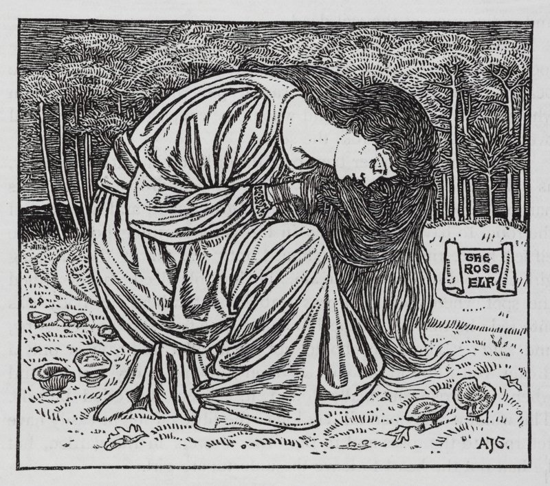 Hans Christian Andersen: De Rozenelf door Arthur Joseph Gaskin