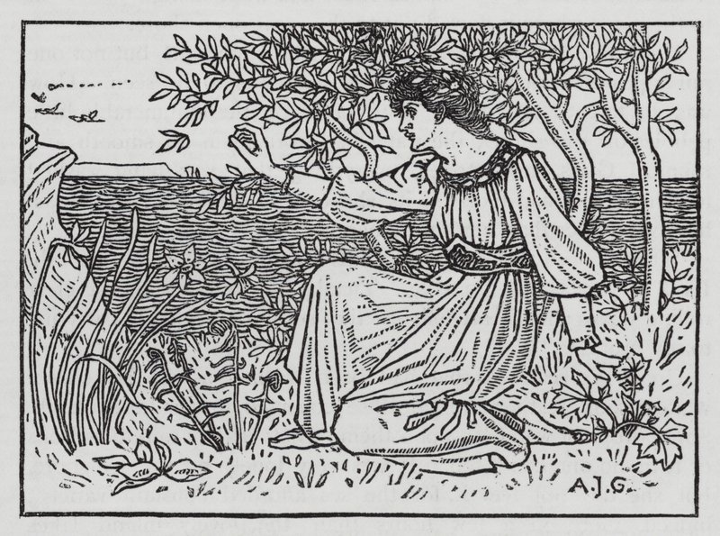 Hans Christian Andersen: De Wilde Zwanen door Arthur Joseph Gaskin