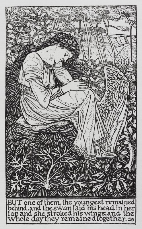 Hans Christian Andersen: De Wilde Zwanen door Arthur Joseph Gaskin