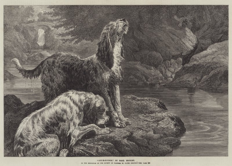 Otter-honden door Basil Bradley