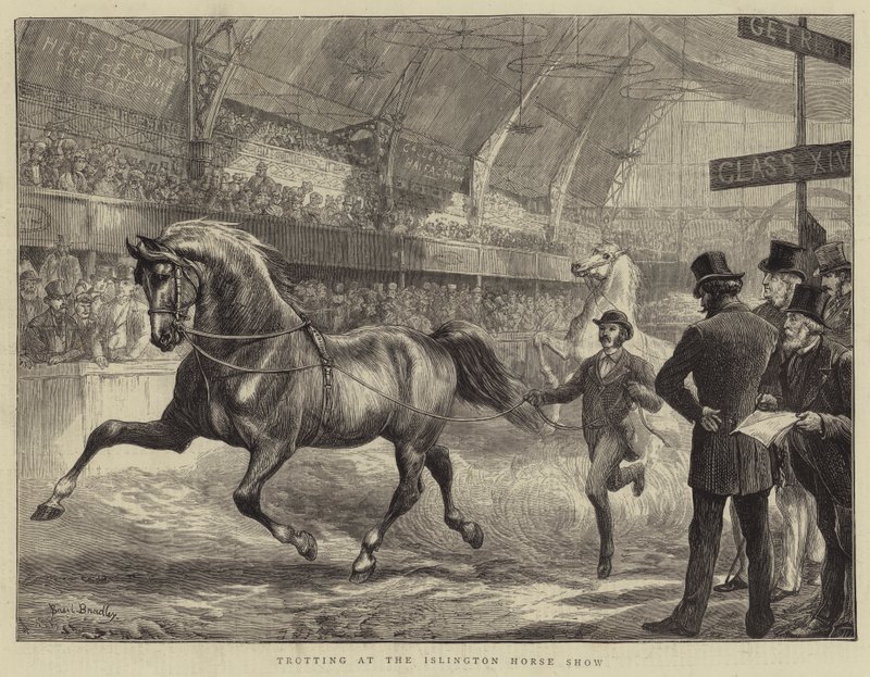 Draf op de Islington Horse Show door Basil Bradley