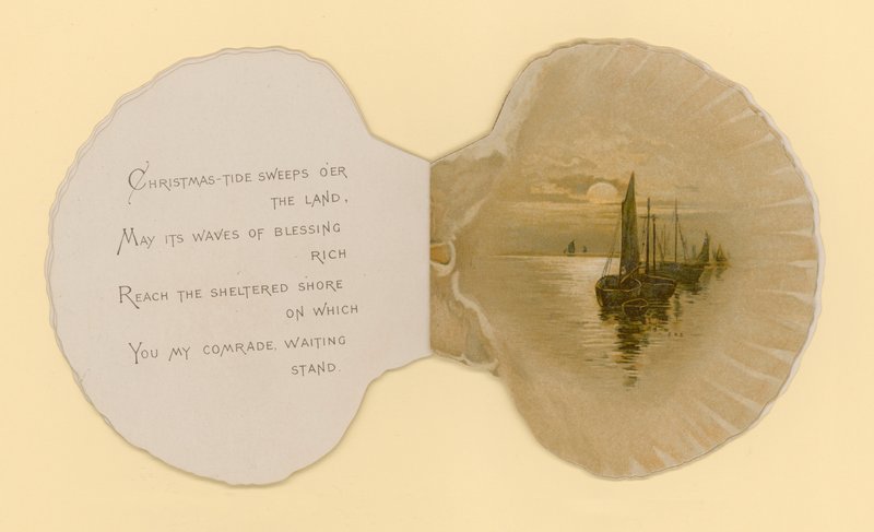 Illustratie voor boekje getiteld Zeeschelpen door Benjamin D. Sigmund