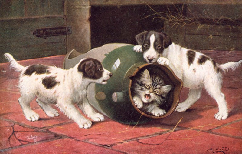 Katten ansichtkaart door Bernard Cobbe