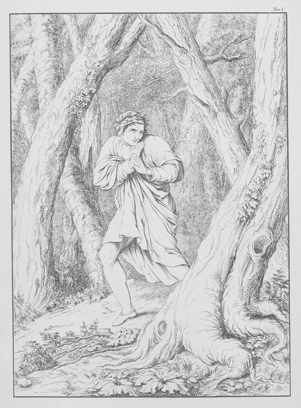 Dante
