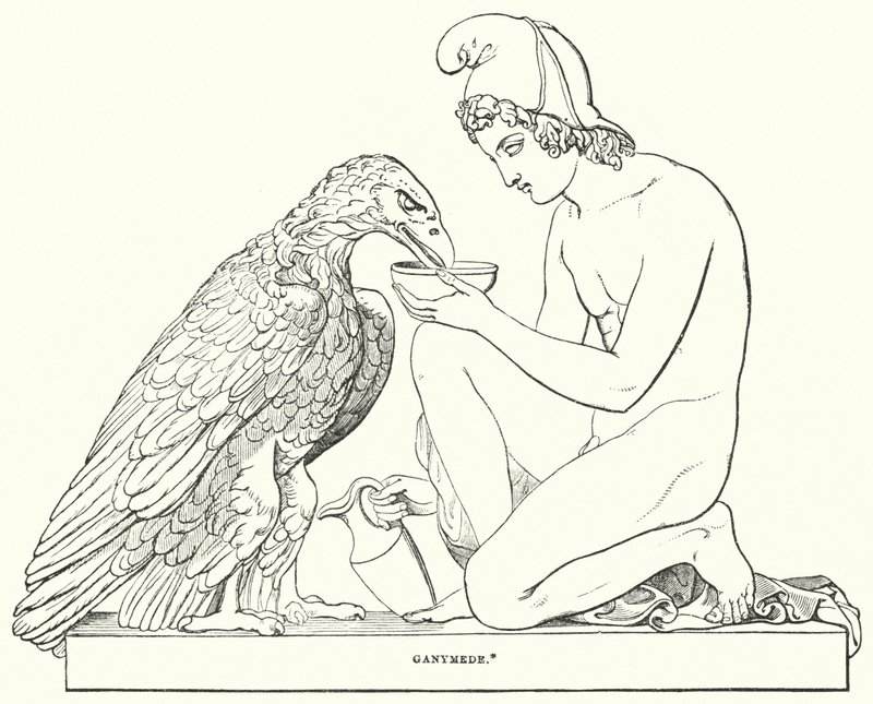 Ganymedes door Bertel after Thorvaldsen
