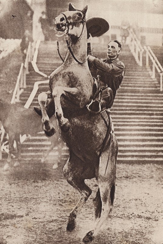 Cowboy beheerst steigerend paard (z/w foto) door Canadian Photographer