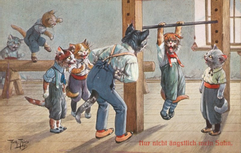 Humoristische katten ansichtkaart door Carl Robert Arthur Thiele