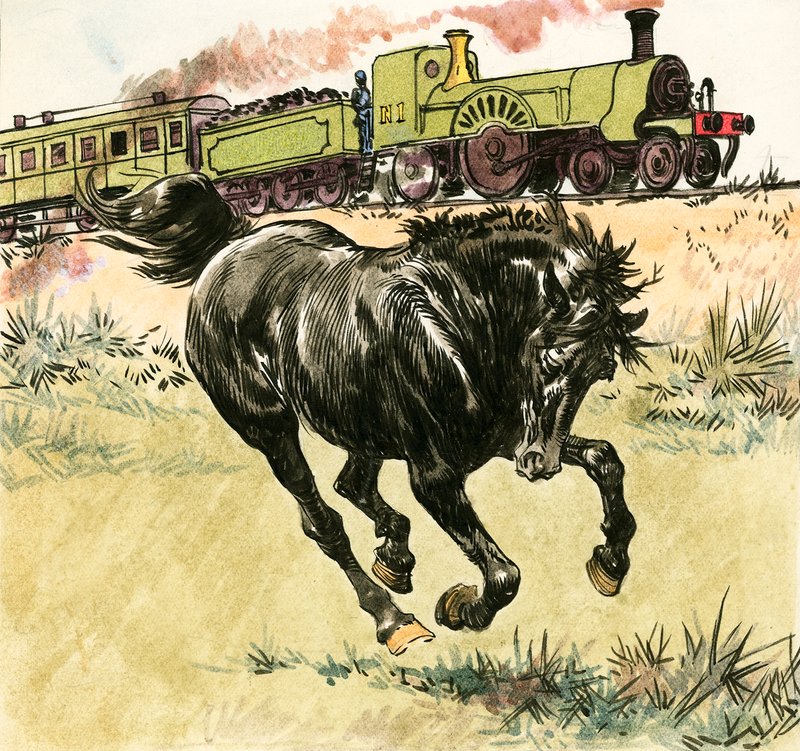 Zwarte Schoonheid door Carlos Gabriel Roume