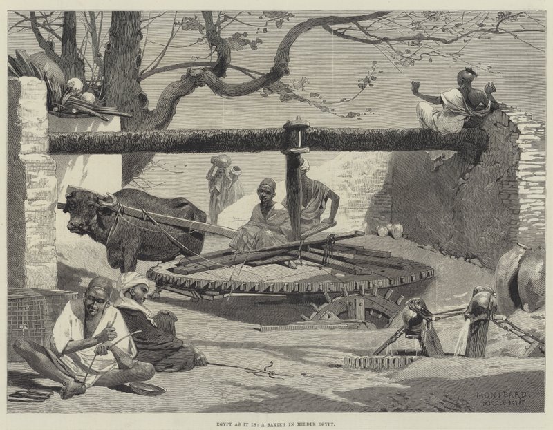 Egypte zoals het is, een Sakieh in Midden-Egypte door Charles Auguste Loye