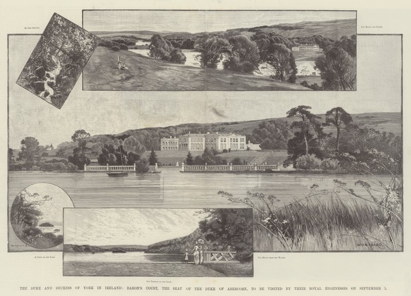 De Hertog en Hertogin van York in Ierland, Baron