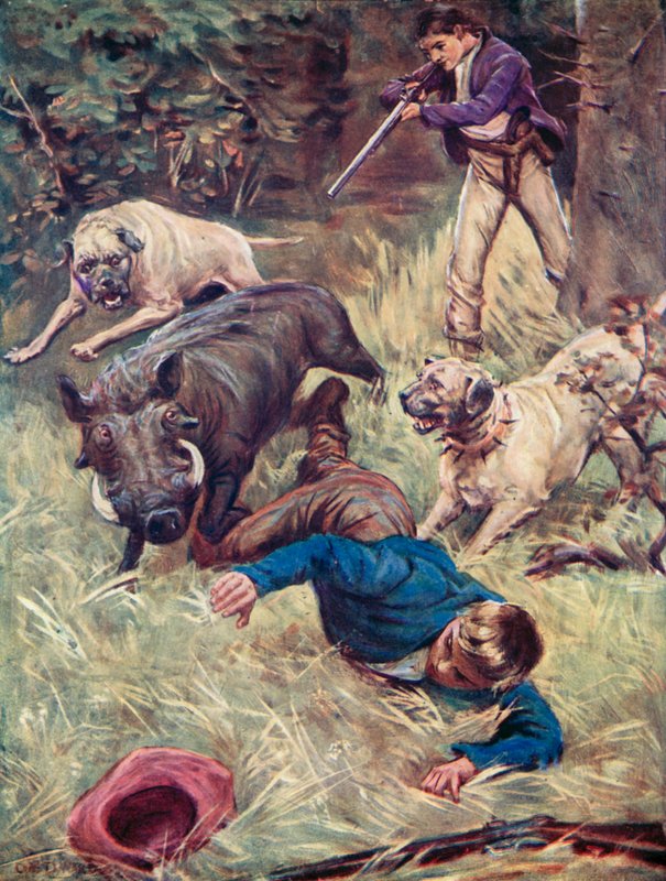 Illustratie voor De Zwitserse Familie Robinson door Charles Daniel Ward