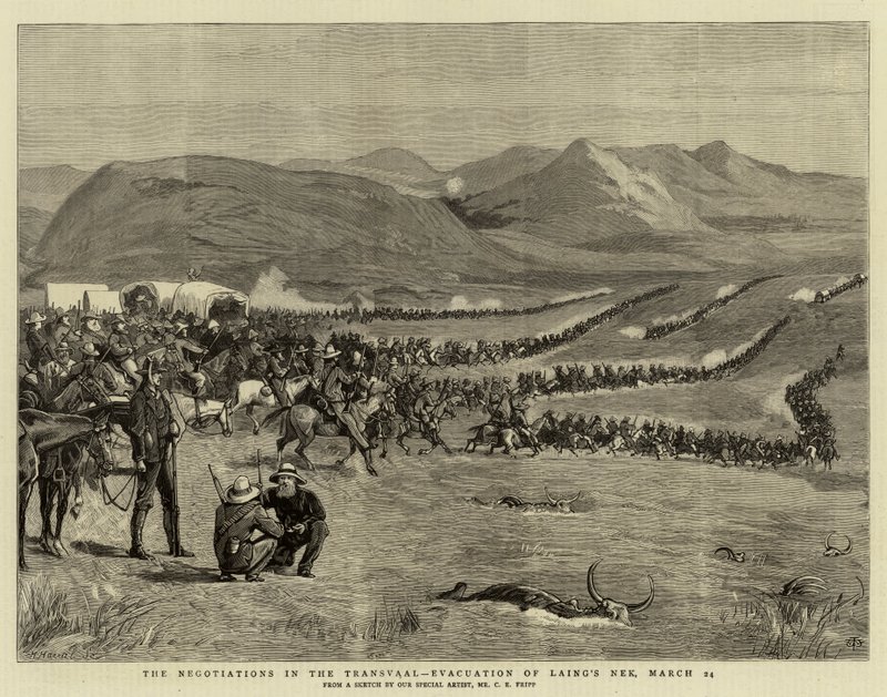 De Onderhandelingen in de Transvaal, Evacuatie van Laing