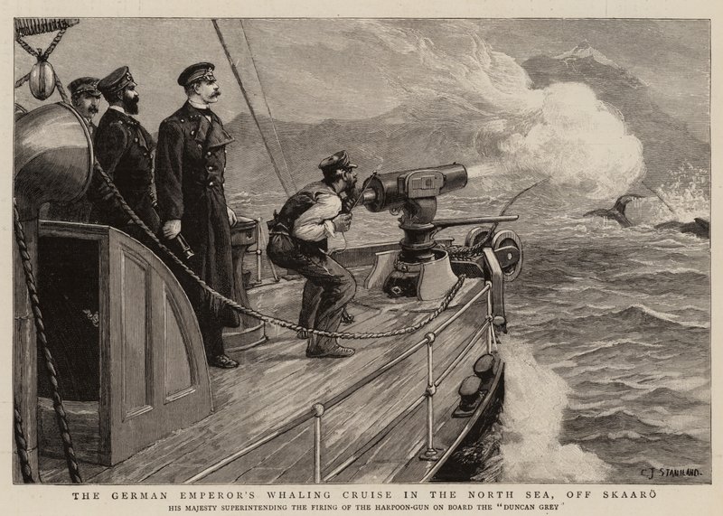 De walvisvaart van de Duitse keizer in de Noordzee, bij Skaaro door Charles J. Staniland
