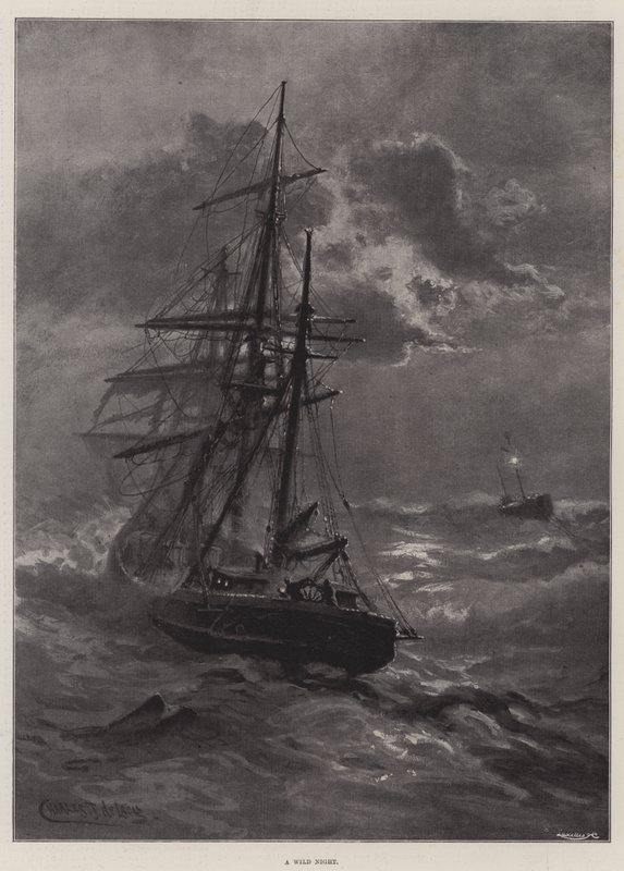 Een wilde nacht door Charles John de Lacy