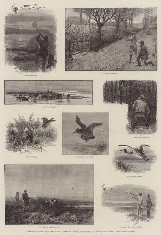 Illustraties uit De Badminton Bibliotheek van Sporten en Vrijetijdsbesteding, Moor en Moeras, Veld en Dekking door Charles Whymper