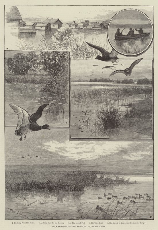 Eendenschieten op Long Point Island, aan Lake Erie (gravure) door Charles (after) Whymper