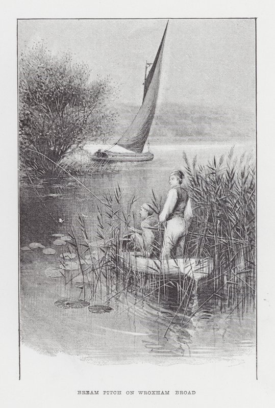 Vissen: Brasemstek op Wroxham Broad door Charles (after) Whymper