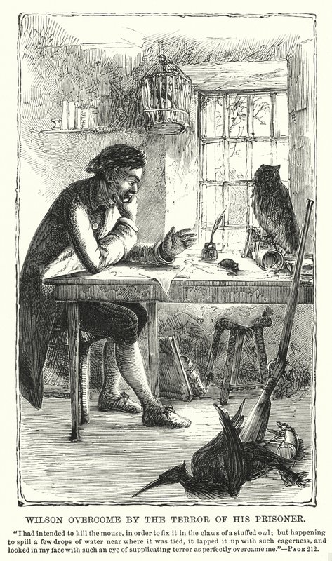 Wilson overweldigd door de angst voor zijn gevangene door Charles Altamont Doyle