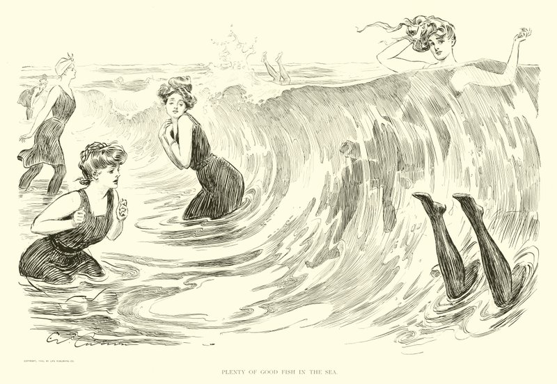 Illustratie voor The Social Ladder door Charles Dana Gibson